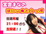 �ʃE�C���h�E�J���܂���